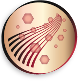 Ionenverzorging