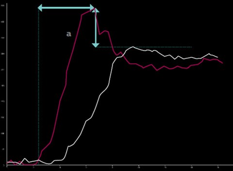 In tegenstelling tot he effect in de ADP is de perfusie van de ATP toegenomen