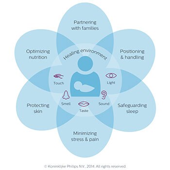 Integrative Developmental  Care Model