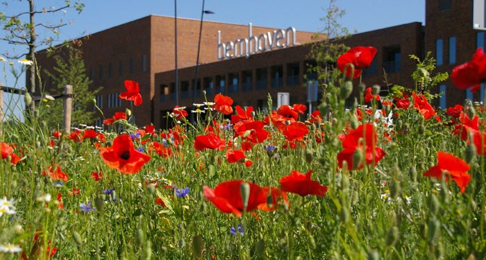 Huisarts en cardioloog werken in één dossier voor hartfalenpatiënten