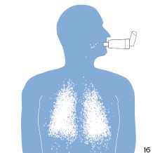 Inhalator met inhalatiekamer
