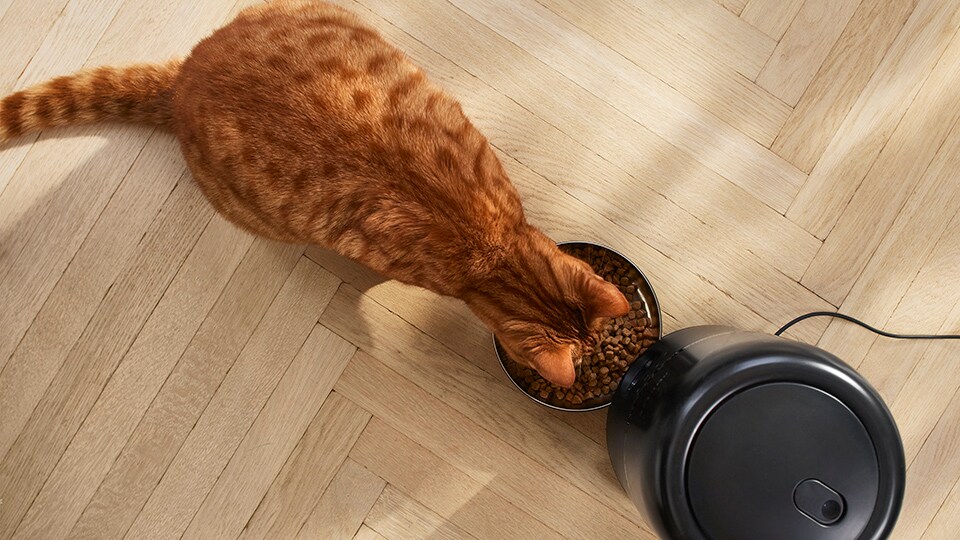 Smart feeder is ontworpen voor uw kat om een aangename ervaring te hebben