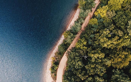 Een luchtfoto van boomtoppen en een oceaan om de duurzaamheidsplannen van Philips te introduceren