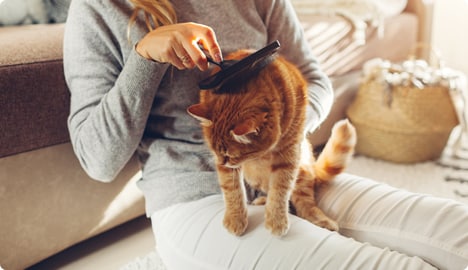 Allergenen huidschilfers van dieren