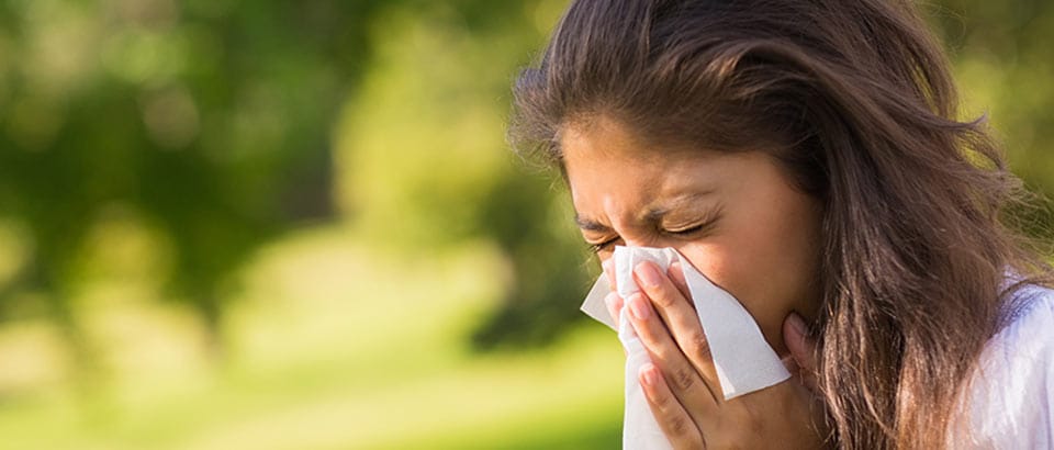 Allergenen in huis - Pollensoorten en wanneer ze voorkomen