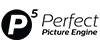 Perfect Picture Engine-logo klein