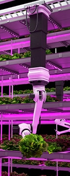 Vertical farming