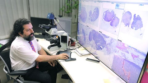 Philips successfully digitizes two pathology labs in Austria