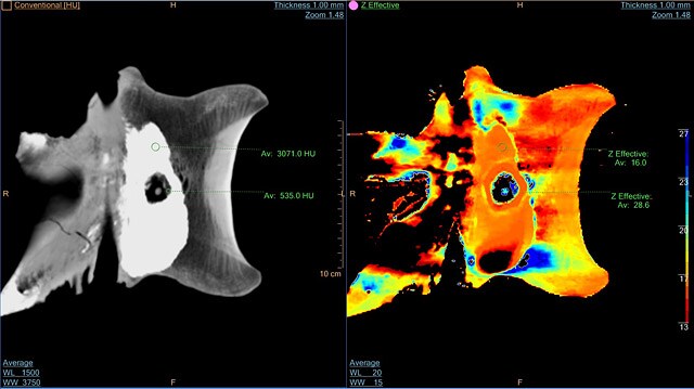 Staart van T. Rex Trix krijgt door Philips scan kleur