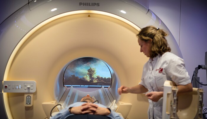 MR Ambient Experience (opent in een nieuw tabblad)