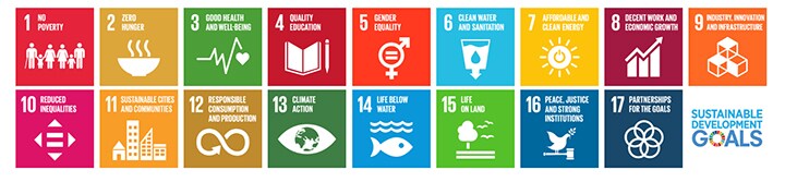 SDG's afbeelding
