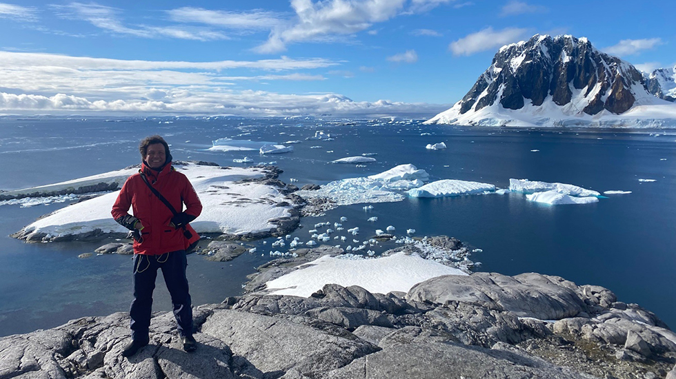 landscape with physician: Lumify op Noordpool