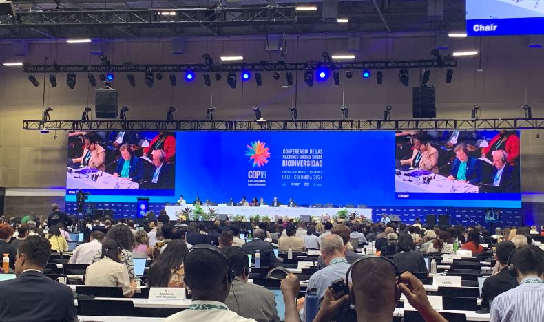 cop 16