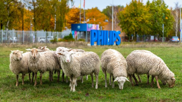Natuurlijk kapitaal en biodiversiteit maken het klimaatplaatje compleet