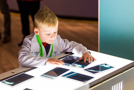 Come to HealthLab at the Philips Museum